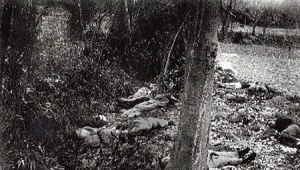 南京大屠殺歷史照片