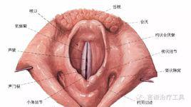 解剖[德系推理小說]