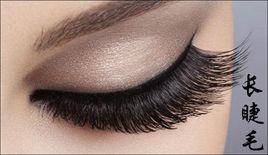 長睫毛[安娜演唱的網路歌曲]