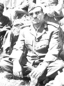 阿卜杜拉&middot;薩拉勒