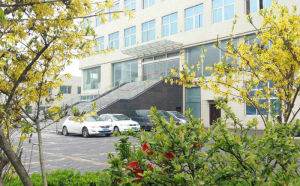 銀馬磚機 銀馬磚機