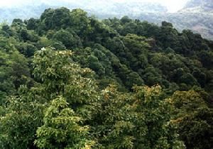 神谷宗椹 神谷宗椹