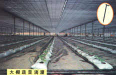 江西撫州市微雨潤灌溉設備有限公司