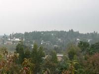 鳳儀自然村 鳳儀自然村