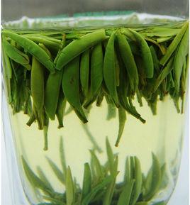 峨眉竹葉青 峨眉竹葉青