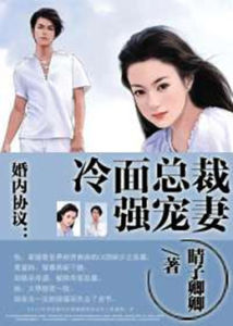 冷麵總裁強寵妻