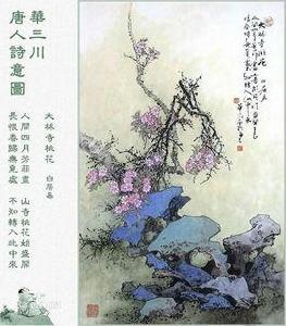 桃花[桃花詩句]