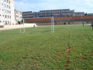 楚雄市職業高級中學 楚雄市職業高級中學