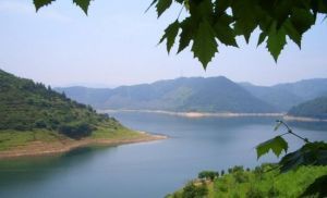 沃洲湖大壩 沃洲湖大壩