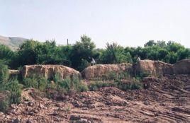 烏魯木齊老滿城 烏魯木齊老滿城