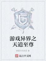 遊戲異界之天道至尊 遊戲異界之天道至尊