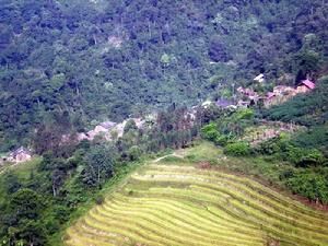 上良子村 上良子村