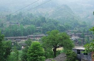 纏溪鎮兩路口村 纏溪鎮兩路口村