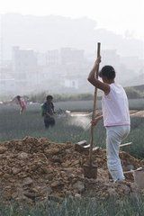 投資決策權 投資決策權