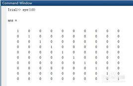 數量矩陣 數量矩陣