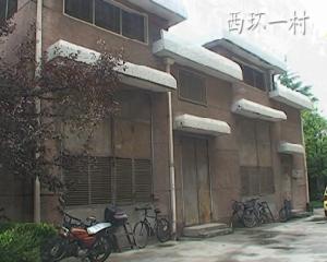 西環一村 西環一村