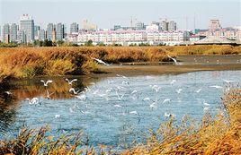 鳥海國定公園 鳥海國定公園