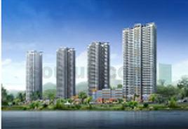 光華風和日麗 光華風和日麗