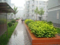 金善名居 金善名居