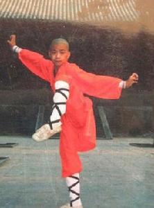 少林鷹爪功 少林鷹爪功