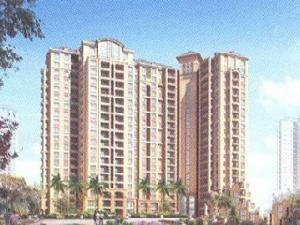 中山金港灣 中山金港灣