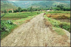 竹園禹門村 竹園禹門村