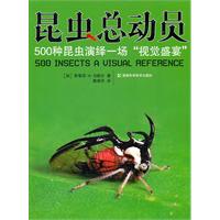 500種昆蟲演繹一場視覺盛宴 500種昆蟲演繹一場視覺盛宴