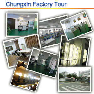 深圳市中芯照明科技有限公司 深圳市中芯照明科技有限公司