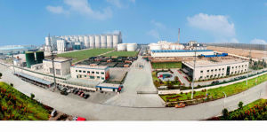 中國糧油控股有限公司 中國糧油控股有限公司