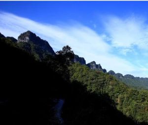 大壩森林公園 大壩森林公園