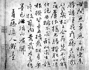 徐渭花卉圖卷題詩