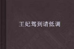 王妃駕到請低調 王妃駕到請低調