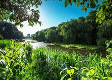 吳江同里濕地公園