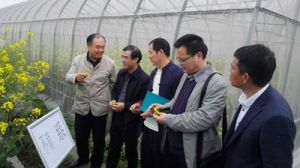 西北優勢農作物新品種選育國家地方聯合工程研究中心 西北優勢農作物新品種選育國家地方聯合工程研究中心