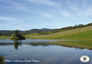 格雷姆米勒莊園環保理念