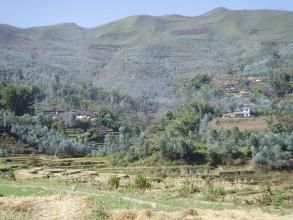 芭焦林自然村 芭焦林自然村