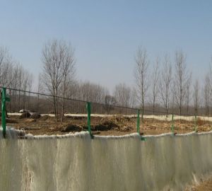 李家窪子村[山東省膠南市隱珠鎮下轄村]