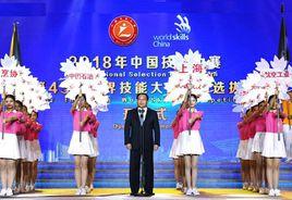 2018年中國技能大賽 2018年中國技能大賽