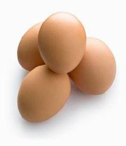 乾燥蛋製品 乾燥蛋製品