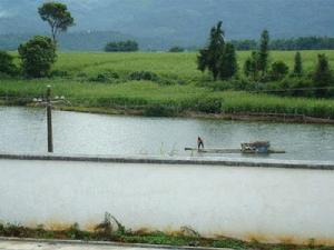 戶宛自然村 戶宛自然村