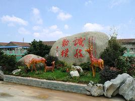 紹興縣孫端鎮中心國小 紹興縣孫端鎮中心國小