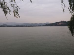 東溝口村 東溝口村