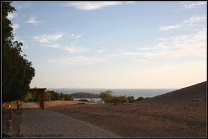 烏魯木齊柴窩堡湖國家濕地公園 烏魯木齊柴窩堡湖國家濕地公園