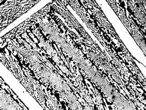 白口組織 白口組織