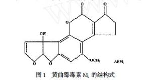 黃麴黴毒素M1 的結構式