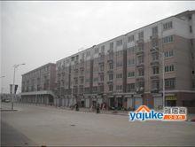 徐州水岸春天照片