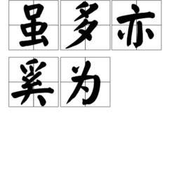 雖多亦奚為 雖多亦奚為