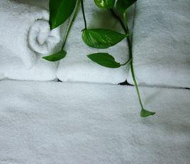 一次性毛巾 一次性毛巾