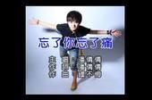 忘了你忘了痛 忘了你忘了痛