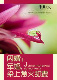 閃婚：軍婚，染上惹火甜妻